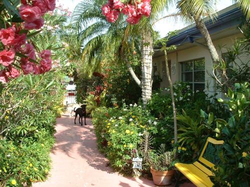 Whispers Booutique Beach Resort - Two Bedroom Condominium - main image
