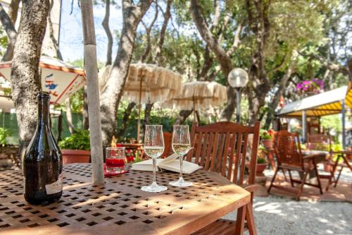 Сад, Hotel Villa Lo Scoglietto in Сан - Вінченцо