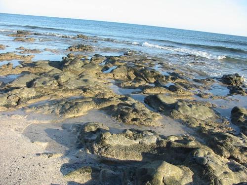Cotillosand, El Cotillo (Foto 2)