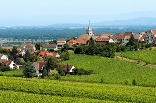Hôtel Restaurant Le Schlossberg - image 6