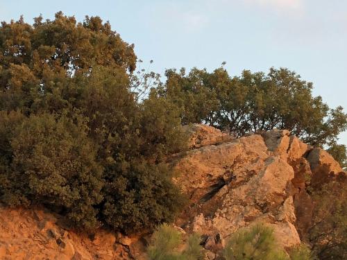  Payamli conteiner house in Yelki