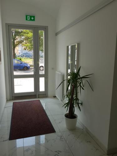 Pension am Wienfluss - image 4
