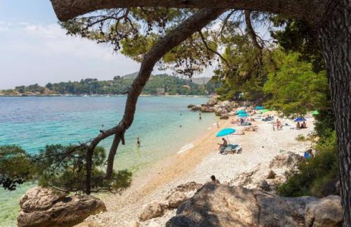  House Jelena in Mlini