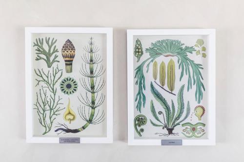 The Farmstead The Farmstead