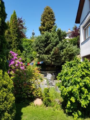  Garden-View in Herrenschwanden