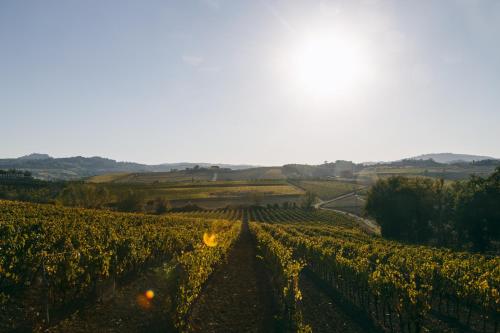L'Orto Di Panza – Abbadia (Montepulciano), WI