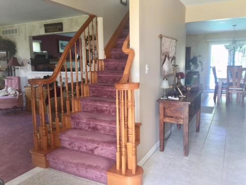 Harsens Island Getaway Resort photo