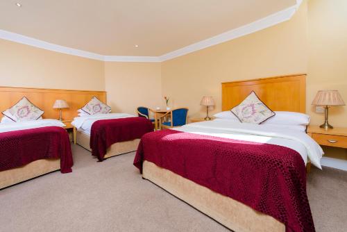 Dingle Bay Hotel - image 9