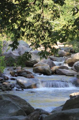 The Evening Shade River Lodge and Cabins