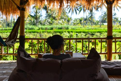 Les Rizières Lombok