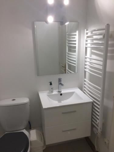 Appartement Domaine de la Freslonnière - image 4