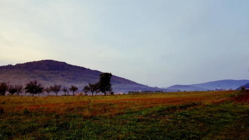  Sobe Paula in Otočac