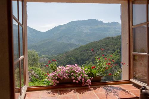 편의 시설/서비스, Gaïa, maison d'hôtes Verdon, vue féerique (Gaia, maison d'hotes Verdon, vue feerique) in 주앙-레-팽 시티 센터