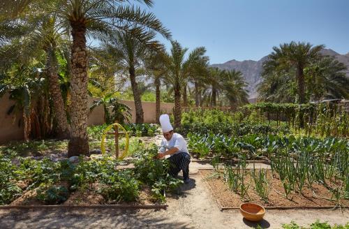 Six Senses Zighy Bay