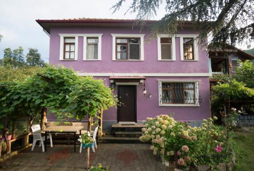 Villa Banizo Great Black Sea View Village House in Trabzon