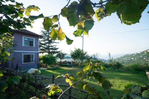  Villa Banizo Great Black Sea View Village House in Trabzon