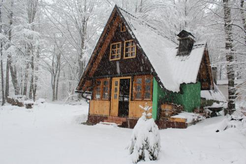  Villa Bodulica ( Secluded Mountain Retreat ) in 53250 Delići
