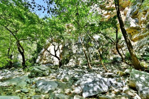 Mylopotamos Beach House