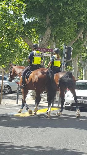 Hôtel Confort - image 9
