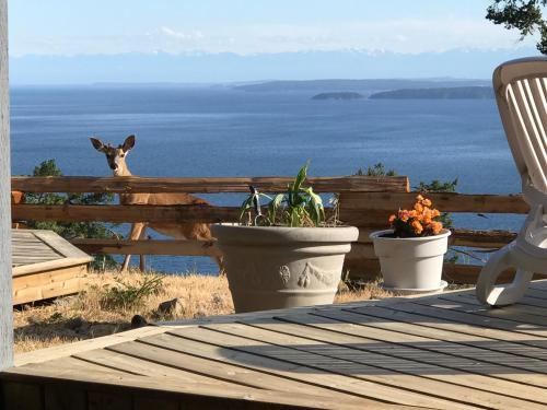 Shangri-La Oceanfront vacation home