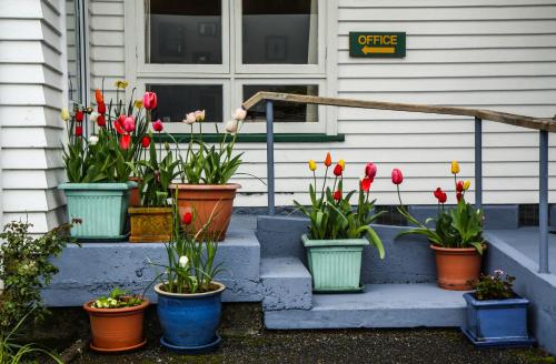 Rainforest Motel