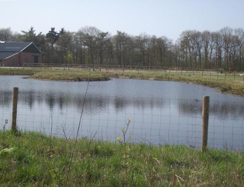 Horsetellerie Rheezerveen