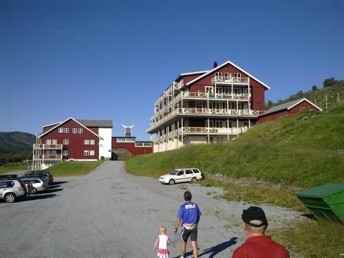 Nystuen, Skjak