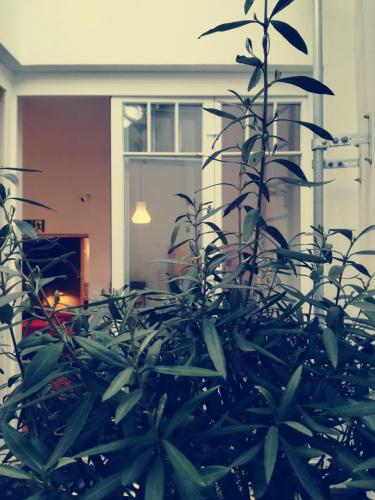 Boutiquehotel Maison Marsil - main image