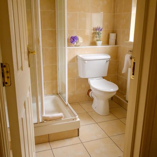 Jacob's Well Hotel - image 2