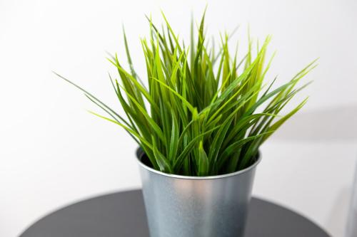 Instalações, MainStation in Suchanino