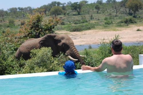 Tamboti River Lodge