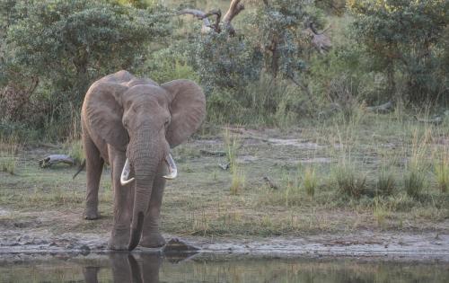 Tamboti River Lodge