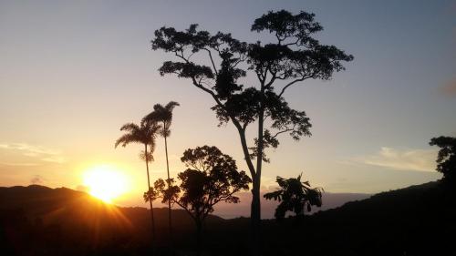 B&B Cow Bay - Daintree Holiday Homes - Yurara - Bed and Breakfast Cow Bay