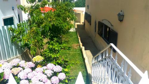 Casa em Palmela - Setúbal (Casa em Palmela - Setubal) in Palmela
