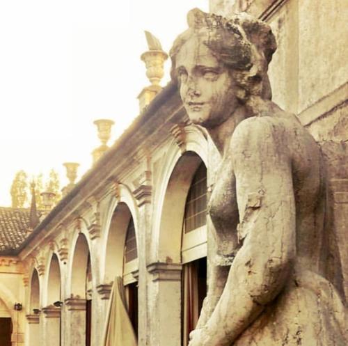 Hotel Villa Condulmer - image 4