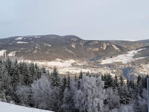 Зручності, Lille Randklev Gæstehus in Рынгебу