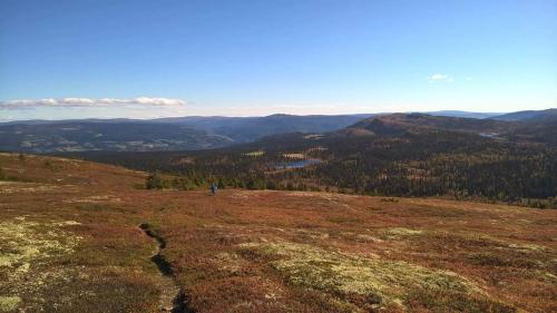 Спорт та розваги, Lille Randklev Gæstehus in Рынгебу