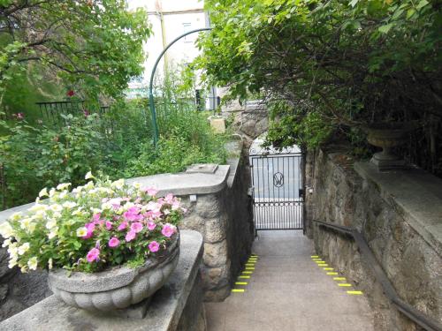 Garden Studio - main image