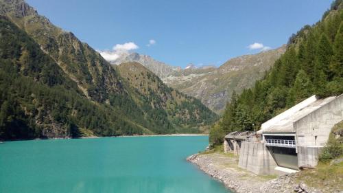 Apkārtne, Cat Marvei in Montescheno