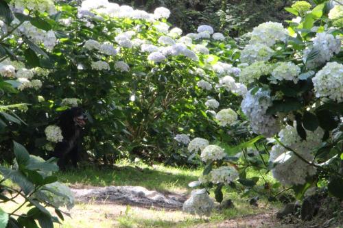Apartamentos Mar y Mar Agroturismo - main image