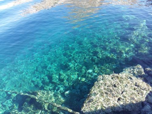 Ecloge, Hydra Island