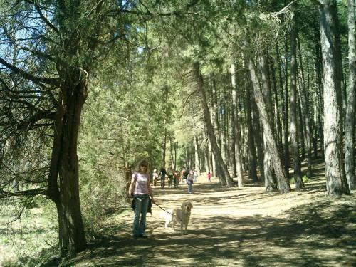 Casa Rural Cañón de Río Lobos II