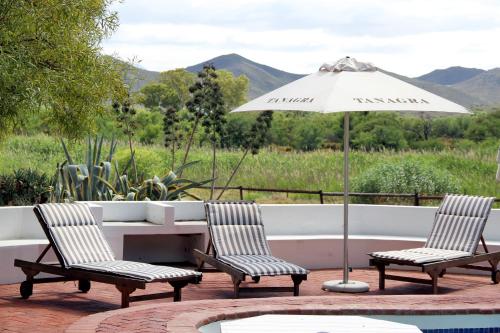 Úszómedence, Tanagra Wine & Guestfarm in Voorspoed