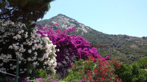 Casa Fiore gîte à louer Pomonte