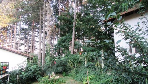 Guest House Keserovic - image 7