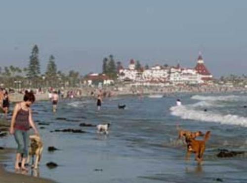 Hillcrest House Bed & Breakfast - Photo 4