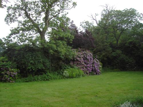 Sommerhaus Barlo 3