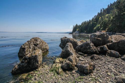 Raccoon Point - image 4