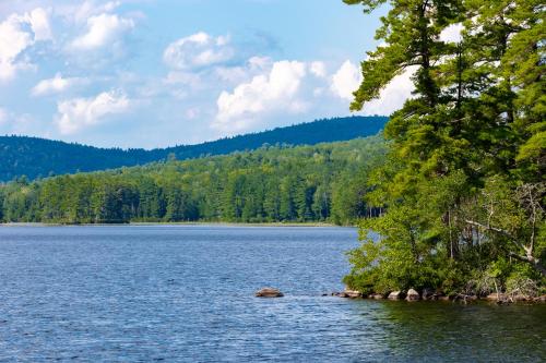 Brown Moose Acres - image 6
