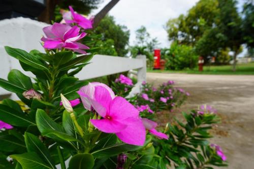 Garden, Ruean Phet Sawoei Resort in Phutthaisong